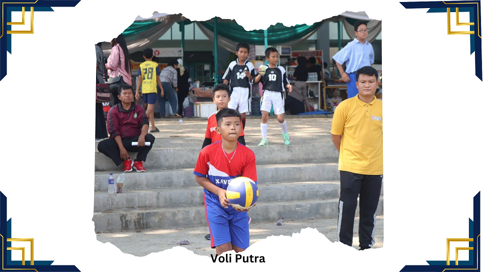 voli putra